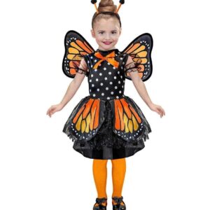 Children's Widmann costume butterfly