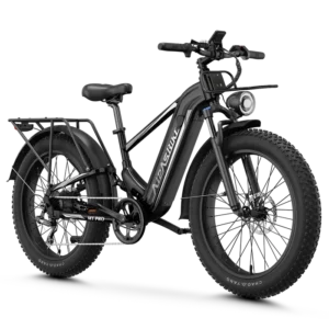Aipas M2 Xterrain Ebike Aipas-M2-black Baskets.
